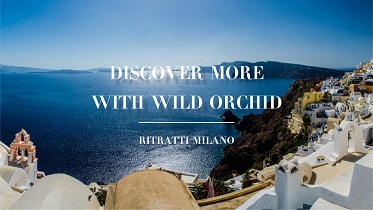 Discover more with Wild Orchid