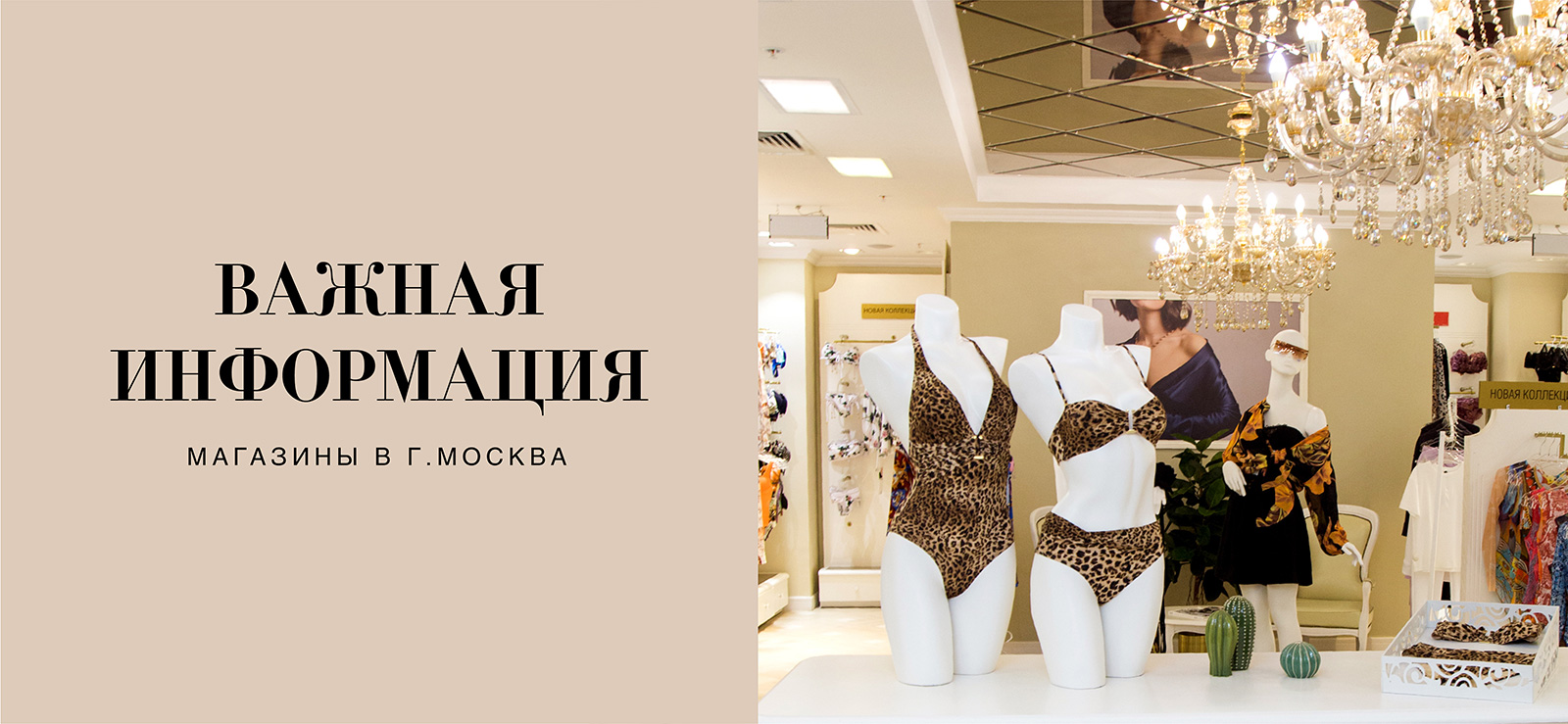 Важная информация о магазинах Москвы