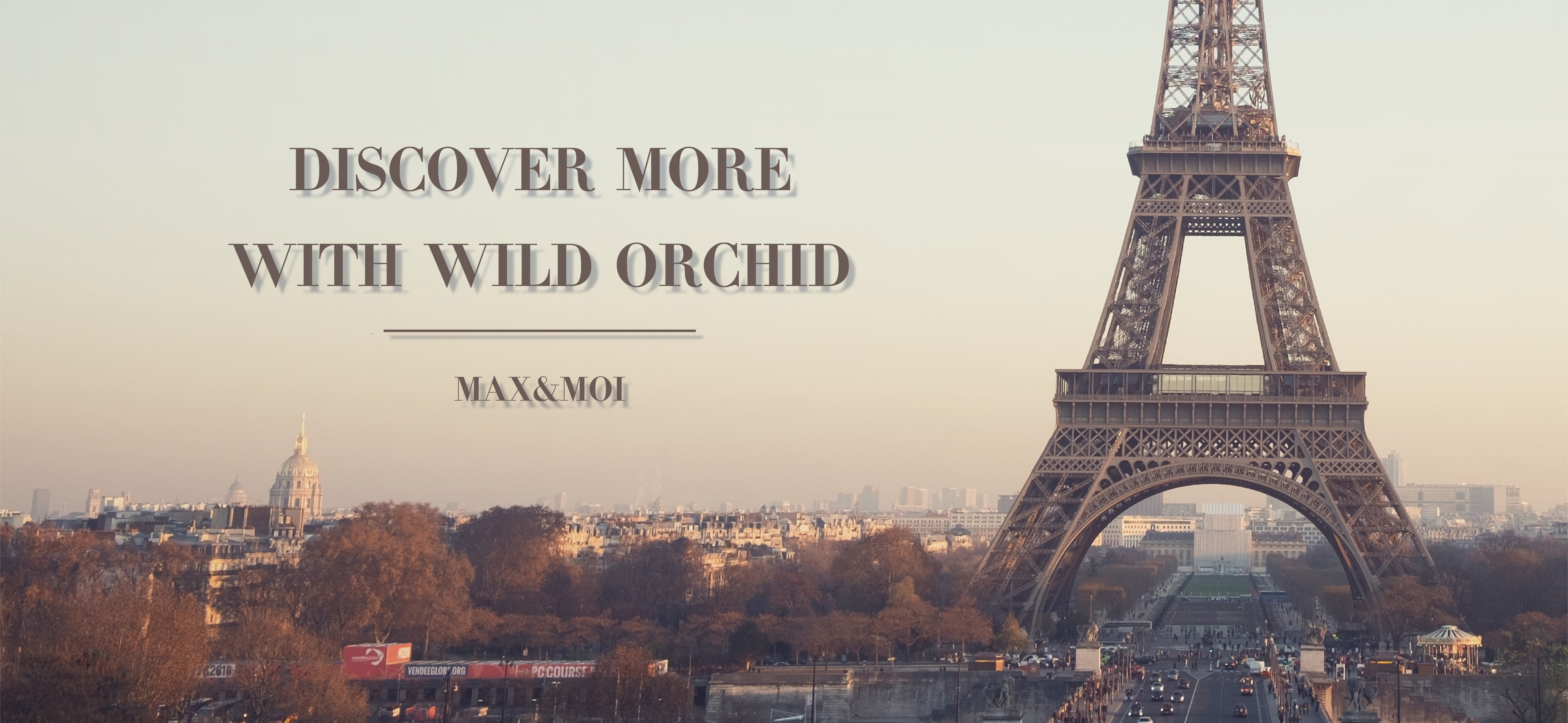 Узнайте больше вместе с Дикая Орхидея