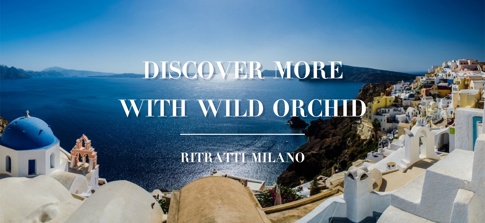 Discover more with Wild Orchid