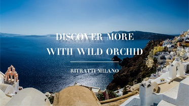 Discover more with Wild Orchid