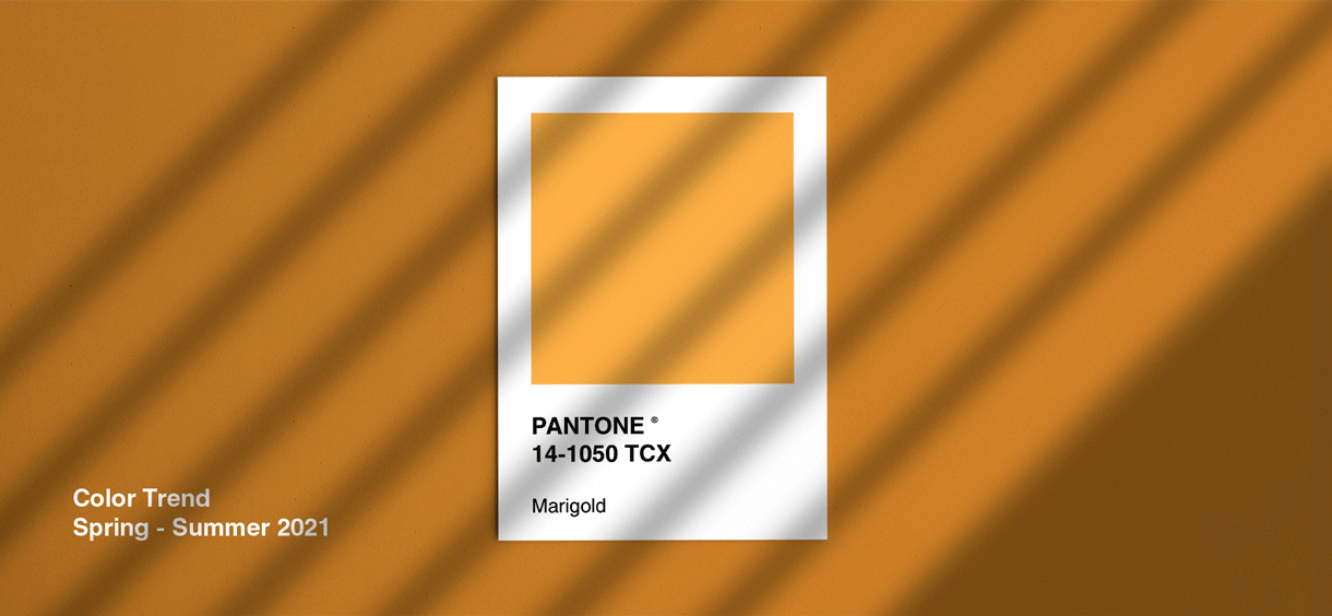 Трендовые цвета сезона