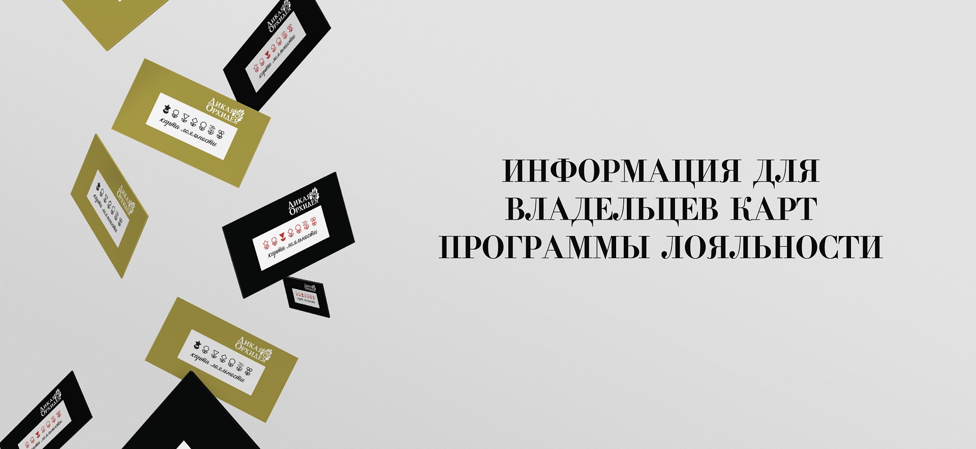 Важная информация для владельцев карт Программы лояльности.