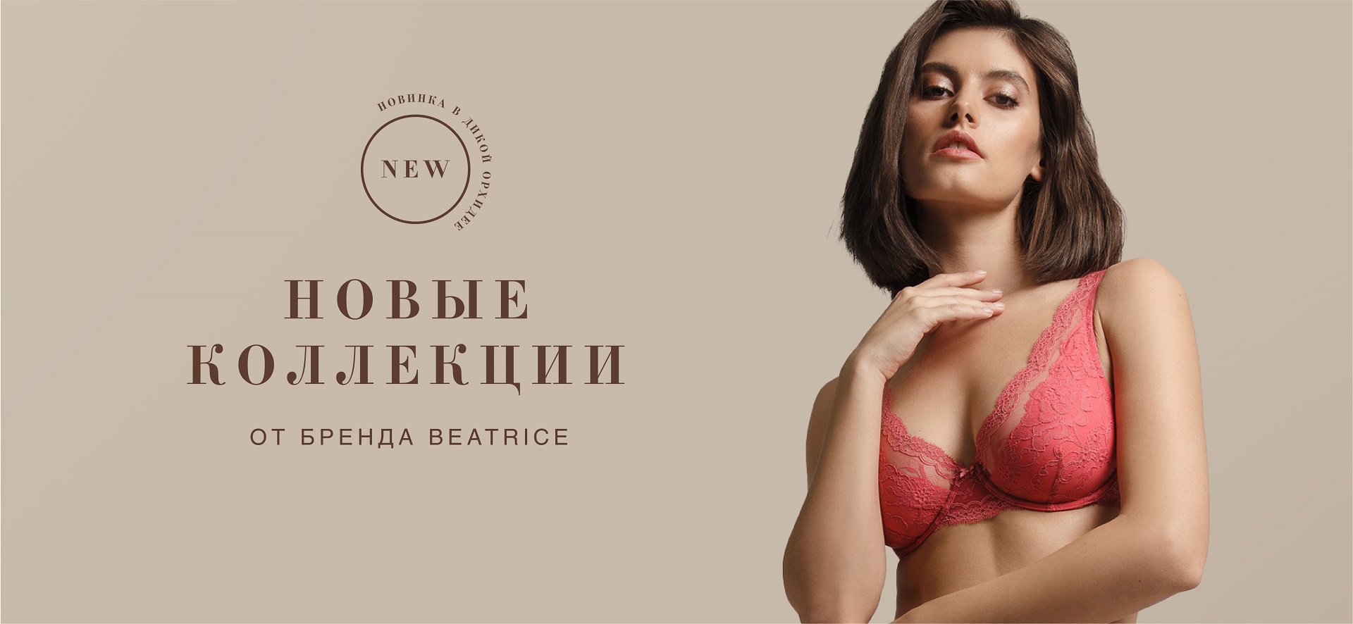 Новинки от Beatrice